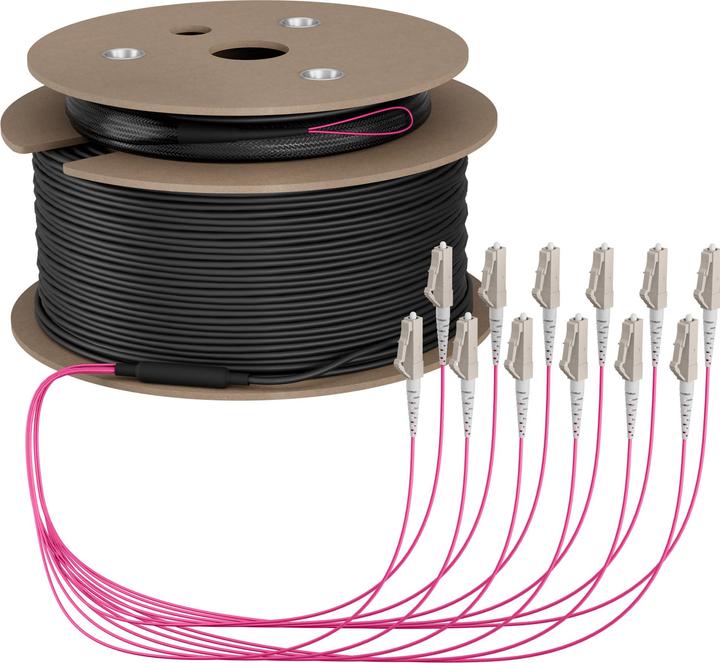 Immagine prodotto EFB Elektronik Cavo dorsale U-DQ ZN BH OM4 12G 1x12 LC-LC 200m Dca LSZH (200 m)