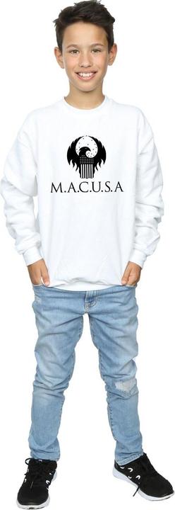 Actual product image Fantastic Beasts Boys MACUSA Logo Sweatshirt (116)