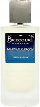 Actual product image Brecourt Paris Brecourt Bad Boy Eau De Parfum 100ml (Eau de parfum, 100 ml)