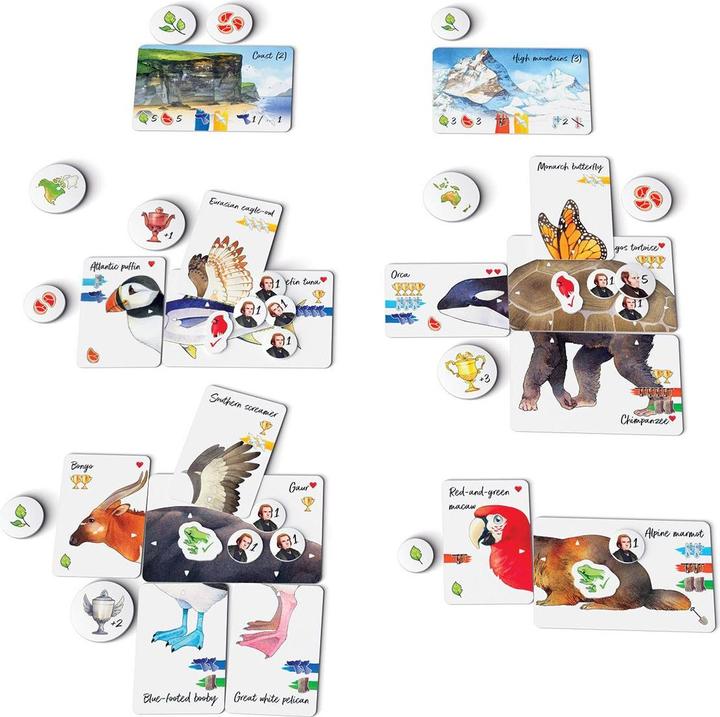 Actual product image Treeceratops Darwin's Choice (German)
