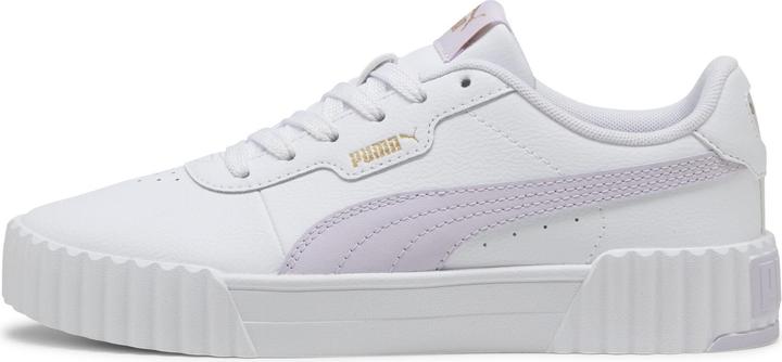 Puma Carina 3.0 (38)