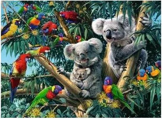 Actual product image Ravensburger Koalas dans l'arbre (500 pieces)