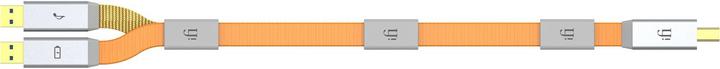 Image du produit iFi Audio Gemini 3.0 (1.50 m, USB 3.0)