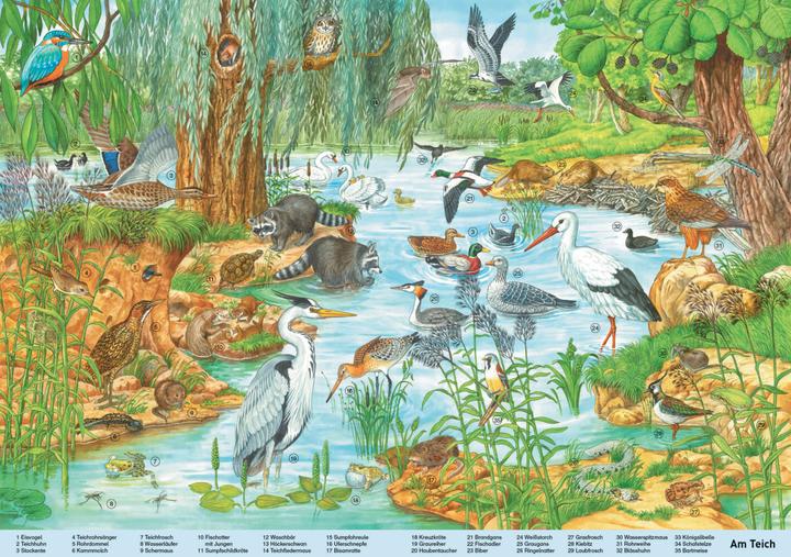Produktbild Mein grosses Wimmelbuch Tiere. Liebevoll illustriert von Anne Suess (Deutsch, Schwager & Steinlein, 2022)
