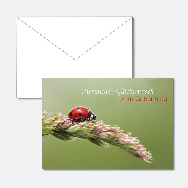 Produktbild Geburtstagskarte - Marienkäfer auf Halm (1 Stk.)