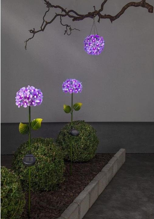 Image du produit Star Trading Hortensia (IP44)