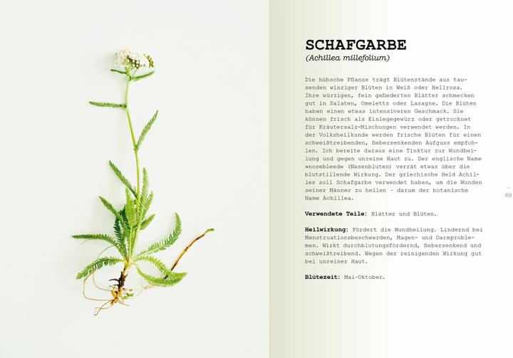Produktbild Wildpflanzen essen (Deutsch, Leoniek Bontje, Yvet Noordermeer, 2020)