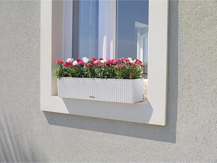 Produktbild Lechuza Balconera Cottage (19 cm)