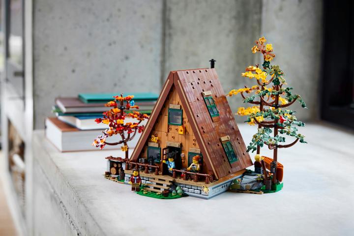 Actual product image LEGO Ideas Finn Cottage 21338 (21338, LEGO Ideas, LEGO Rare Sets)