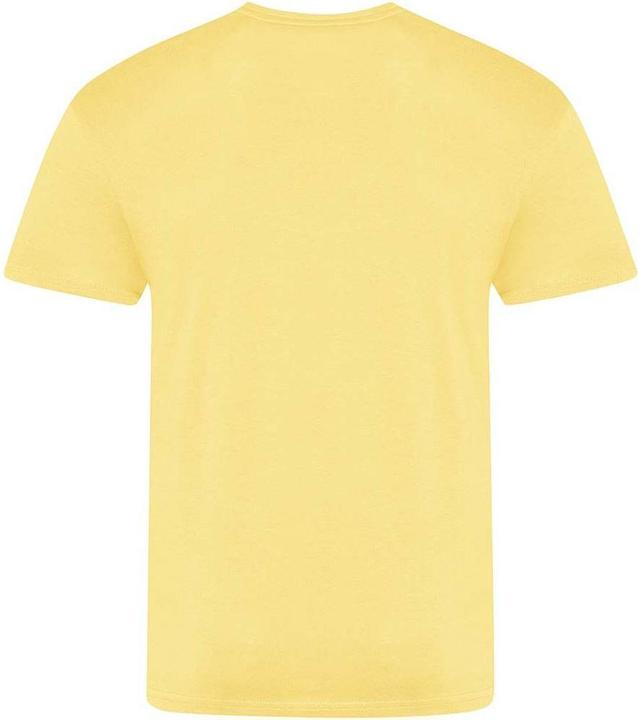 Actual product image Awdis The 100 TShirt (XL)