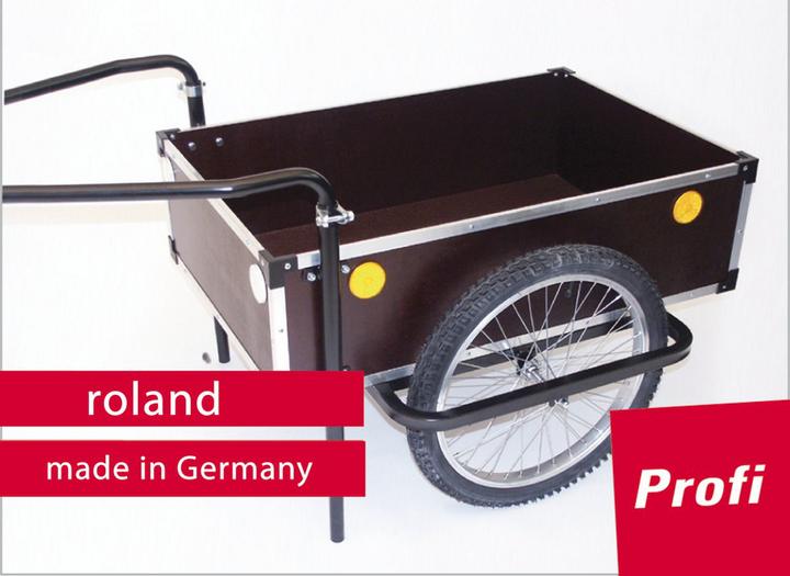 Roland Professional