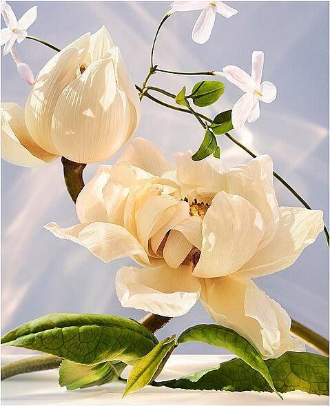 Actual product image Bulgari Omnia Crystalline (Eau de parfum, 100 ml)