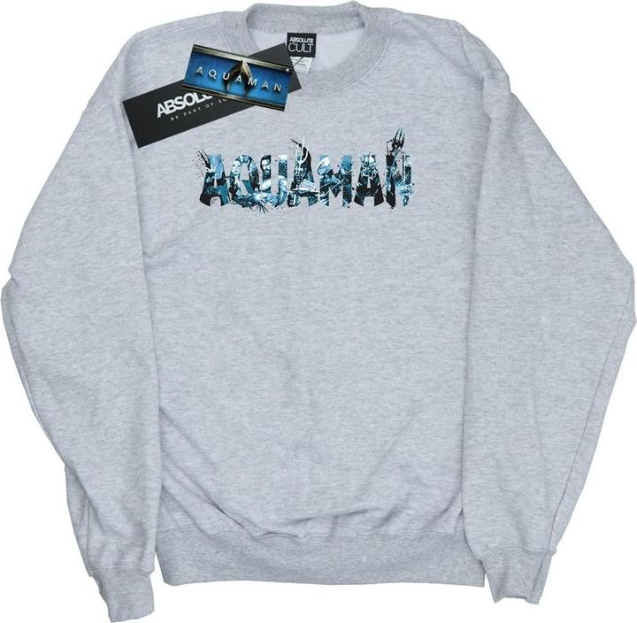 Aquaman Text Logo Sweatshirt (M)