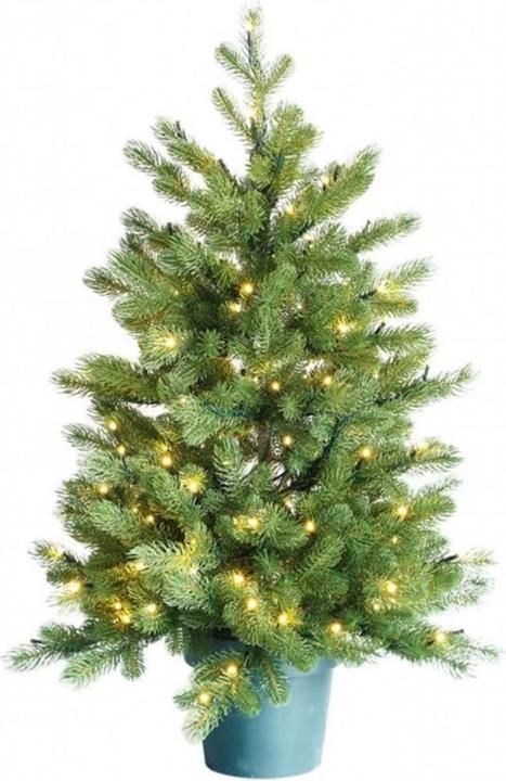 Actual product image Botanic-Haus De Luxe (90 cm)