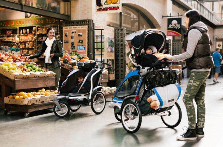 Actual product image Thule Chariot Chinook 1 incl. first year of accessories