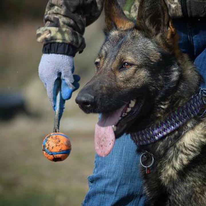 Image du produit Chuckit! ChuckIt Ultra Tug piłka dla psa średnia (Jouet à mâcher pour chien)