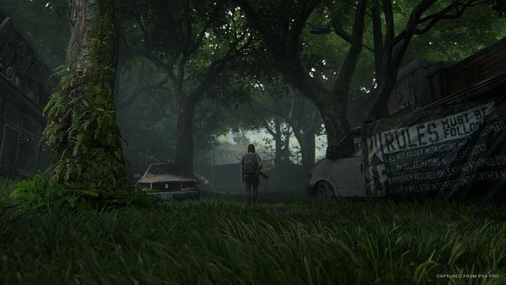 Immagine prodotto Sony The Last of Us Part II Edizione Standard (EN/RU) PS4 (PS4, DE)