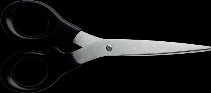 Image du produit Leitz Ciseaux en acier inoxydable (16.50 cm)