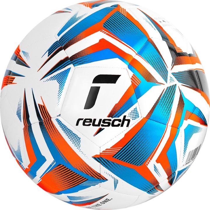 Reusch Football Attrakt Silver (5)