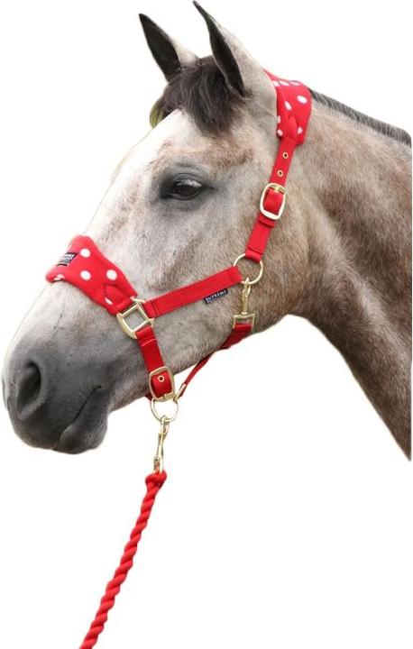 Actual product image Supreme Products Horse halter and lead rope set dot pattern fleece