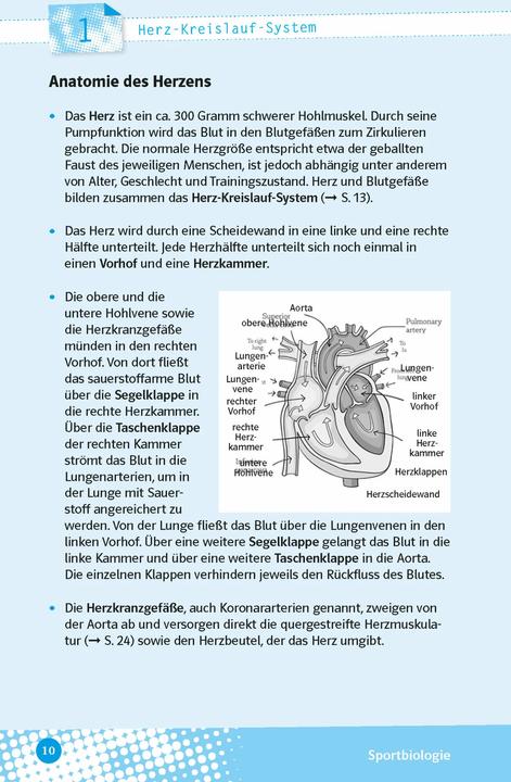 Produktbild Abi last minute Sport (Deutsch, Christoph, Seibold, 2023)