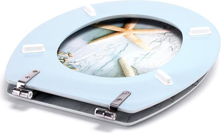 Image du produit MSV Étoile de mer