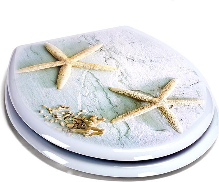 Image du produit MSV Étoile de mer