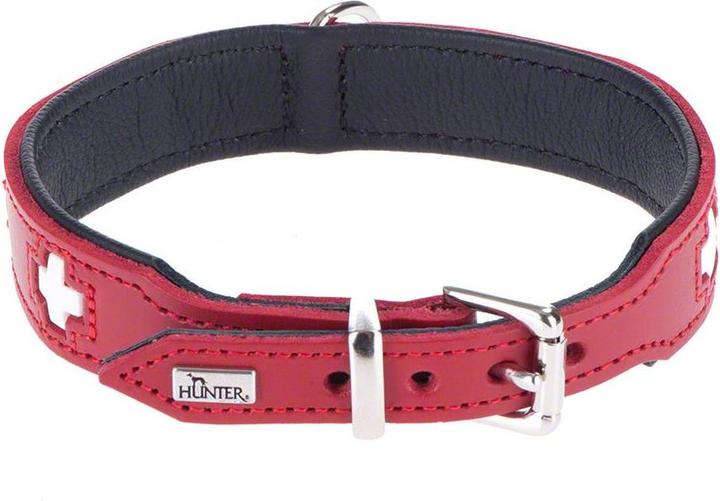 Actual product image Hunter Swiss (Dog, Dog sport)