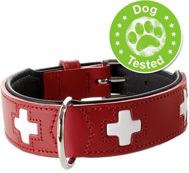 Actual product image Hunter Swiss (Dog, Dog sport)