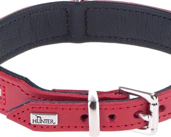 Actual product image Hunter Swiss (Dog, Dog sport)