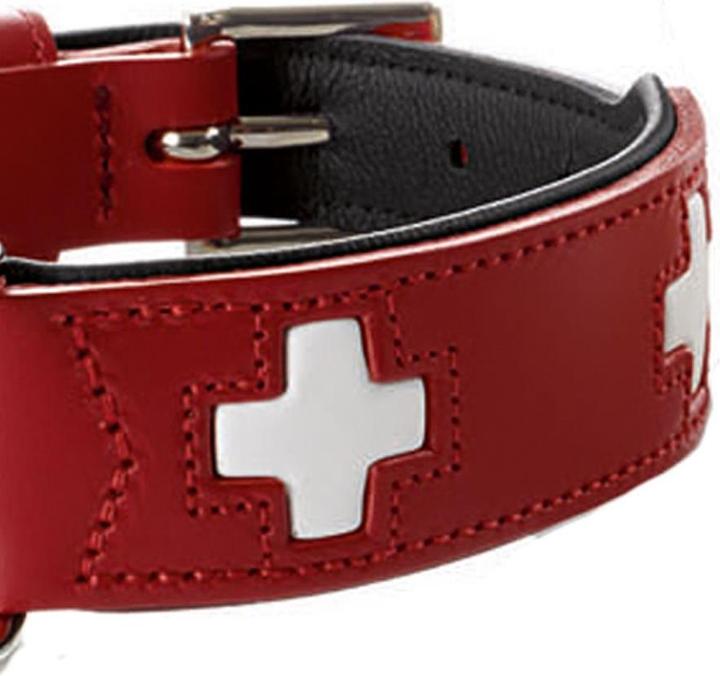 Actual product image Hunter Swiss (Dog, Dog sport)