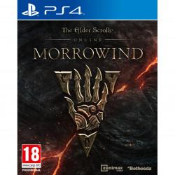 Produktbild Bethesda The Elder Scrolls Online : Morrowind (PS4, DE)