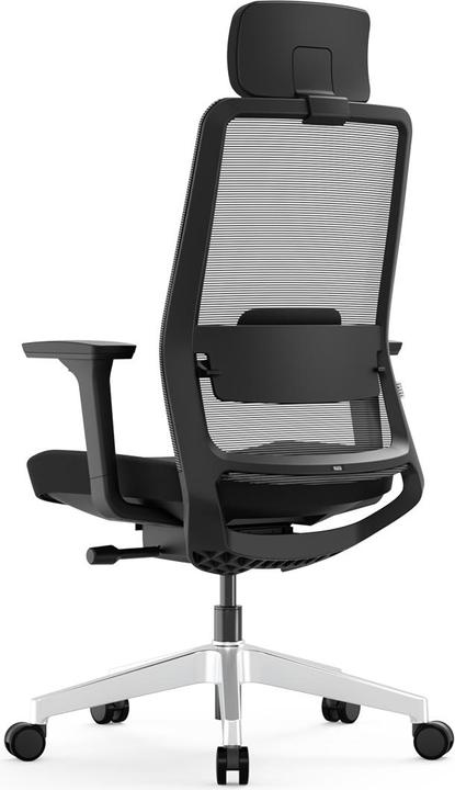 Actual product image Yaasa Chair Pro