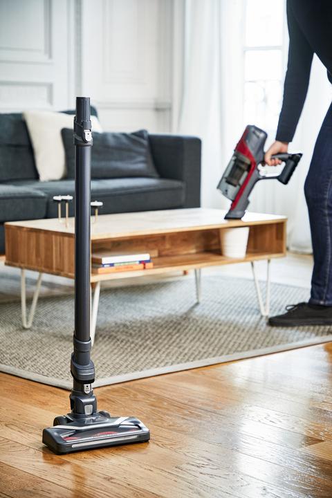 Image du produit Rowenta Xpert 6.60 Animal