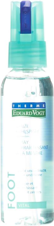 Eduard Vogt Eduard Minze Fuss (Fussdeodorant & -puder, 100 ml)