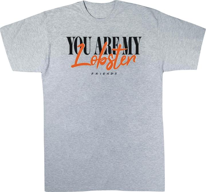 Actual product image Friends Boys Lobster Soul Mates T-Shirt (140, 146)