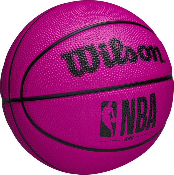 Actual product image Wilson Nba Drv Mini (3)