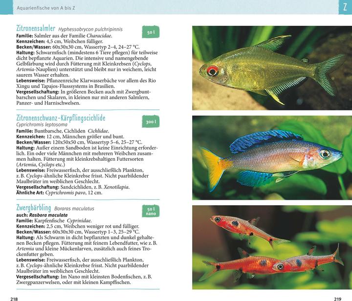 Produktbild Aquarienfische von A bis Z (Deutsch, Ulrich Schliewen, 2017)