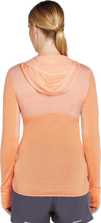 Produktbild Icebreaker Women Merino Mer 200 Realfleece Descender LS Zip H (L)