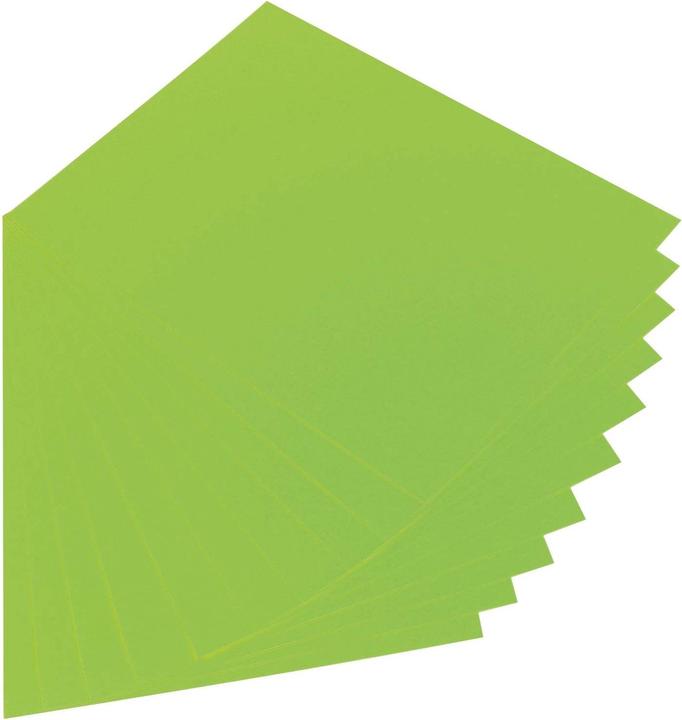 Produktbild Folia Fotokarton, (B)500 x (H)700 mm, 300 g/qm, maigrn (300 g/m², 1 x)