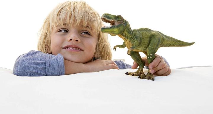 Actual product image Schleich Tyrannosaurus Rex