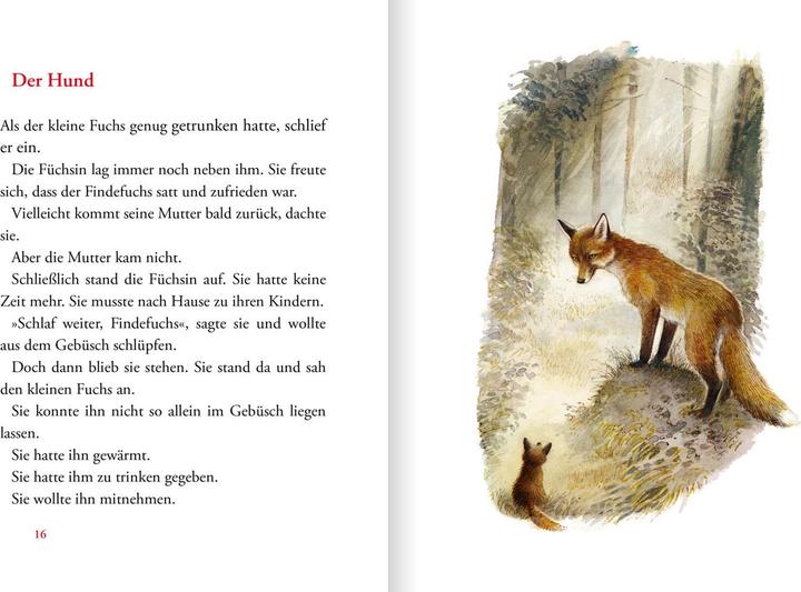 Produktbild Der Findefuchs (Deutsch, Irina Korschunow, Reinhard Michl, 2021)