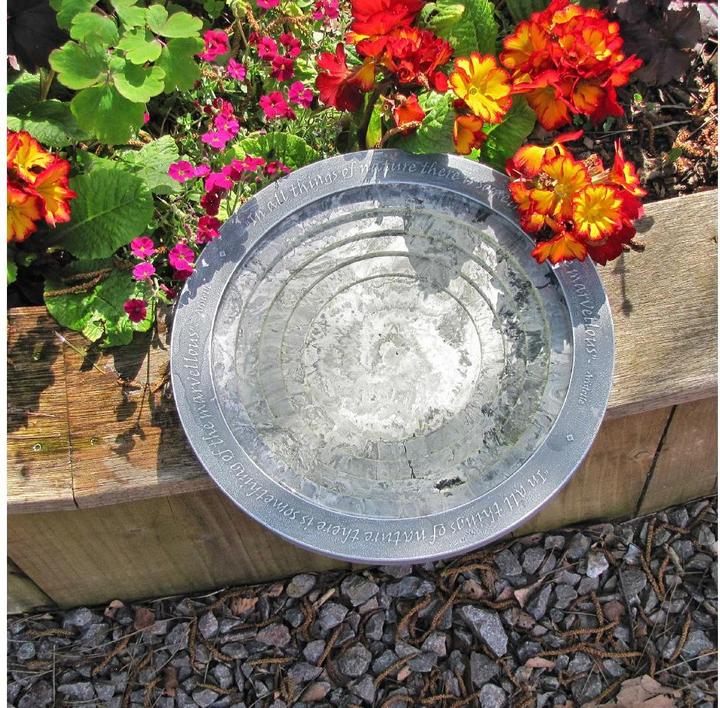 Actual product image Wildlife World Oasis