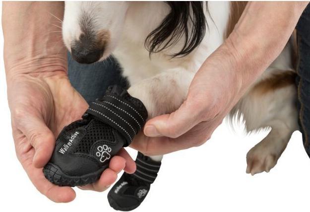 Image du produit Trixie Protection pour pattes Walker Active XS (XS, Chaussures pour chien)