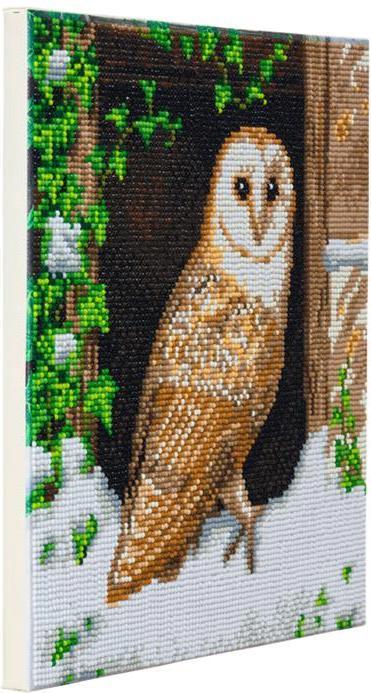 Immagine prodotto Craft Buddy Gufo delle nevi, 30x30cm Crystal Art Kit