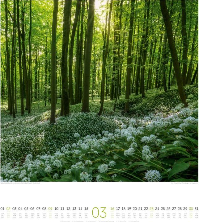 Produktbild Lichtblicke Kalender 2025 (48 x 54 cm, Deutsch, Französisch, Englisch)