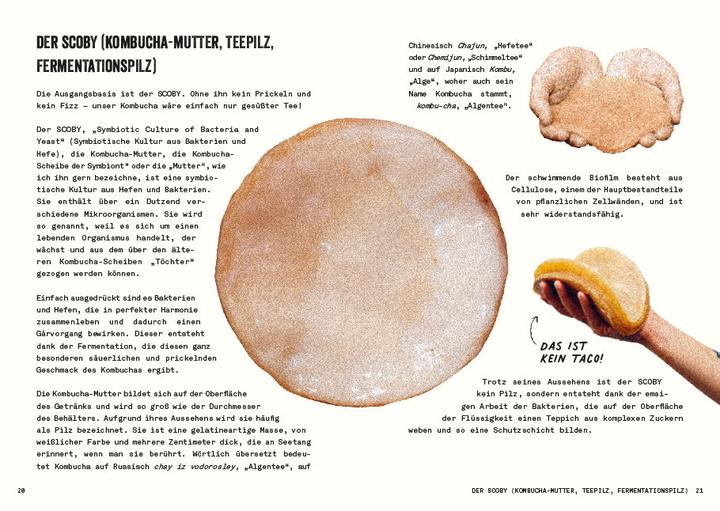 Immagine prodotto Kombucha do it yourself (Tedesco, Julie Ponge, 2023)