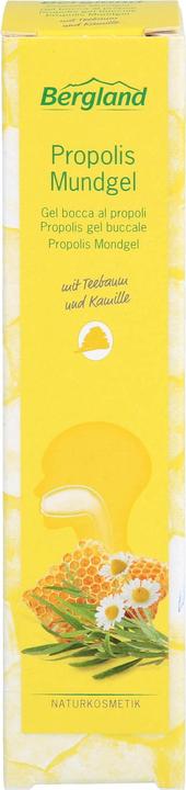 Produktbild Bergland Propolis Mundgel, 13.5 ml GEL (1 x, 13.50 ml)