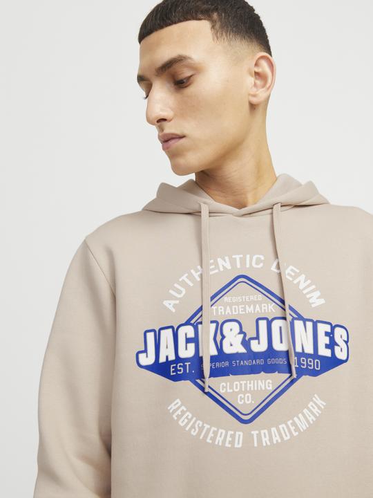 Immagine prodotto Jack & Jones JJELOGO SWEAT HOOD 2 COL 24/25 NOOS (L)