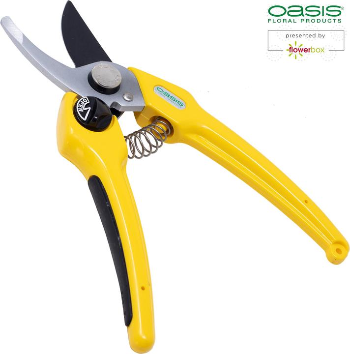 Immagine prodotto Oasis Forbici professionali per fioristi